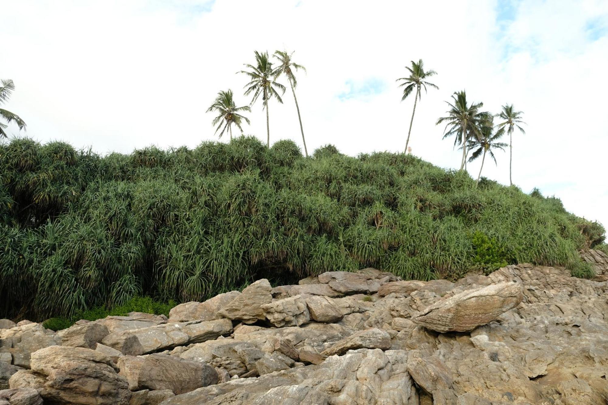 Menaka Homestay Tangalle Eksteriør billede